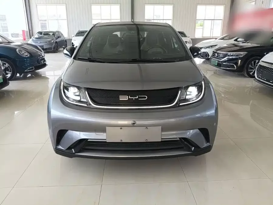 BYD Dolphin