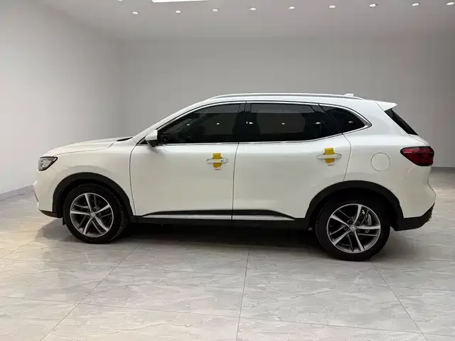 MG HS