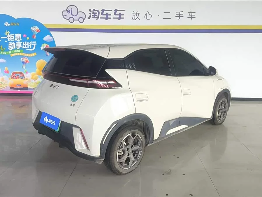 BYD Seagull