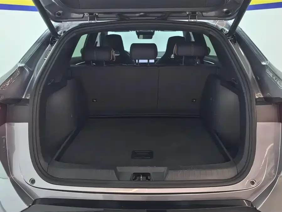 BYD Song PLUS New Energy