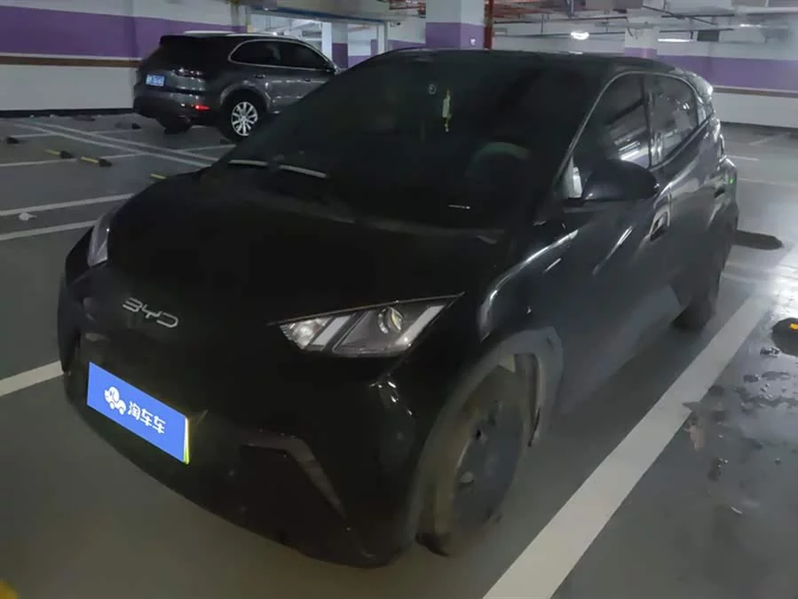 BYD Seagull