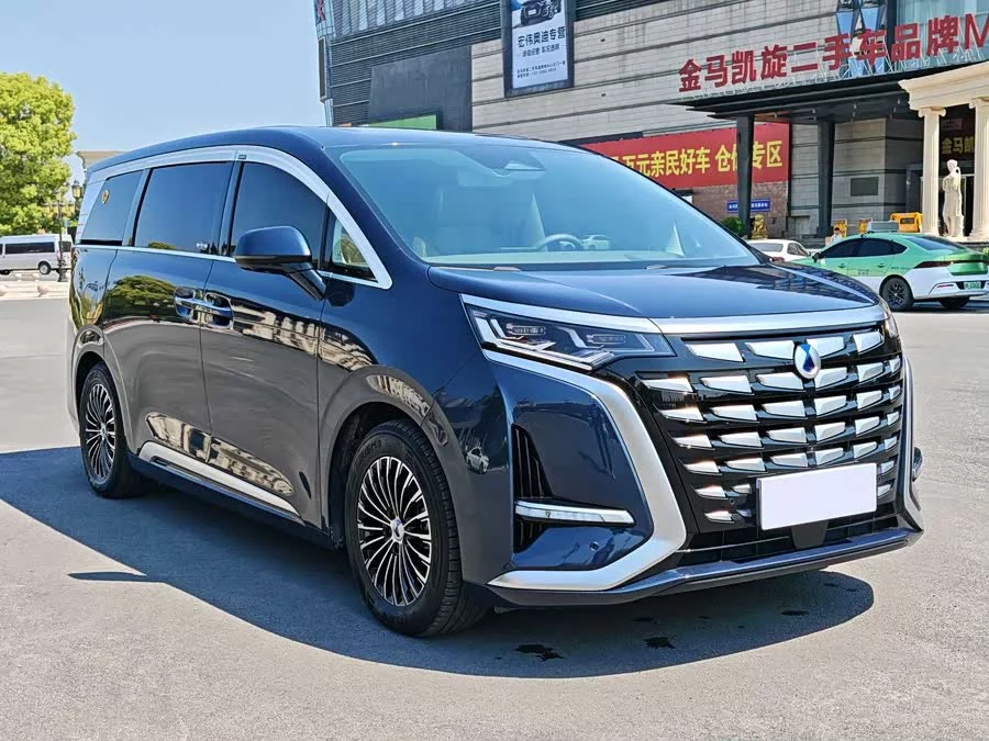 BYD D9