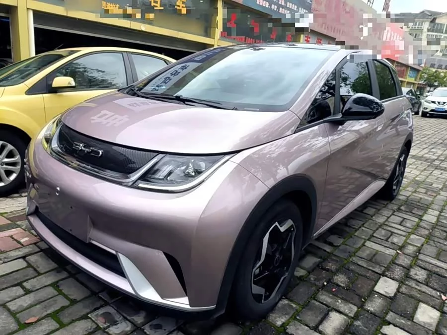 BYD Dolphin