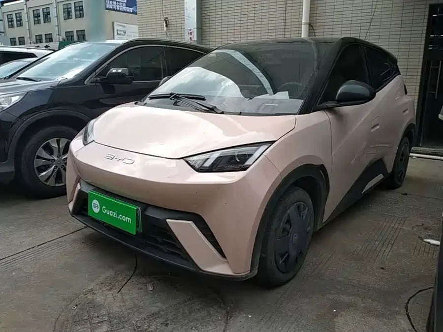 BYD Seagull
