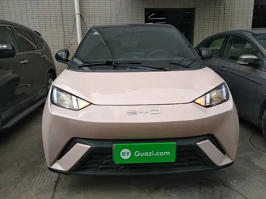 BYD Seagull