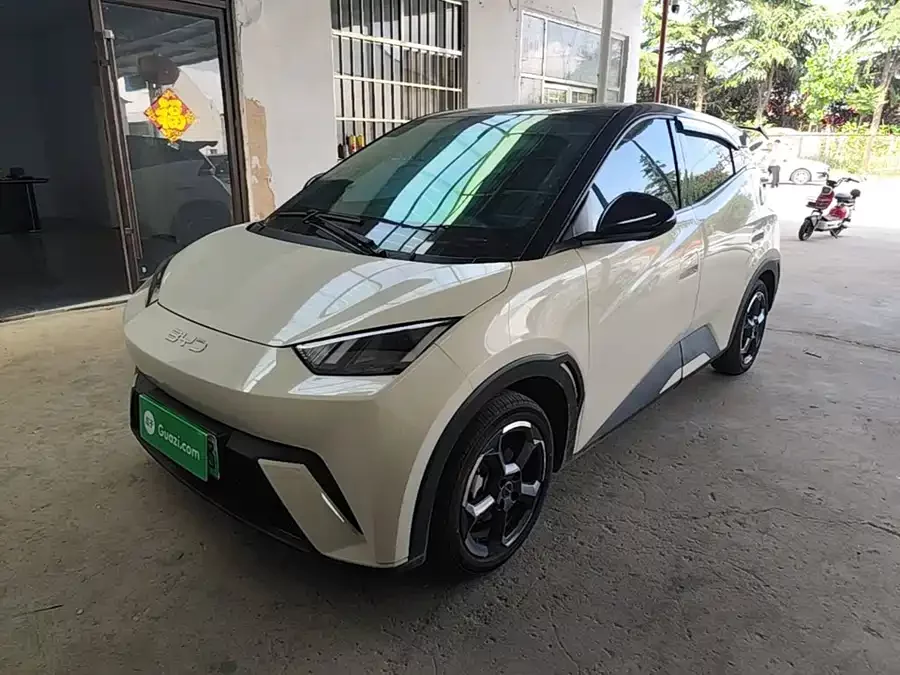 BYD Seagull