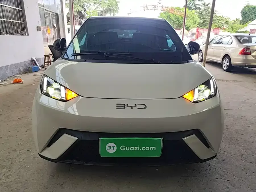 BYD Seagull