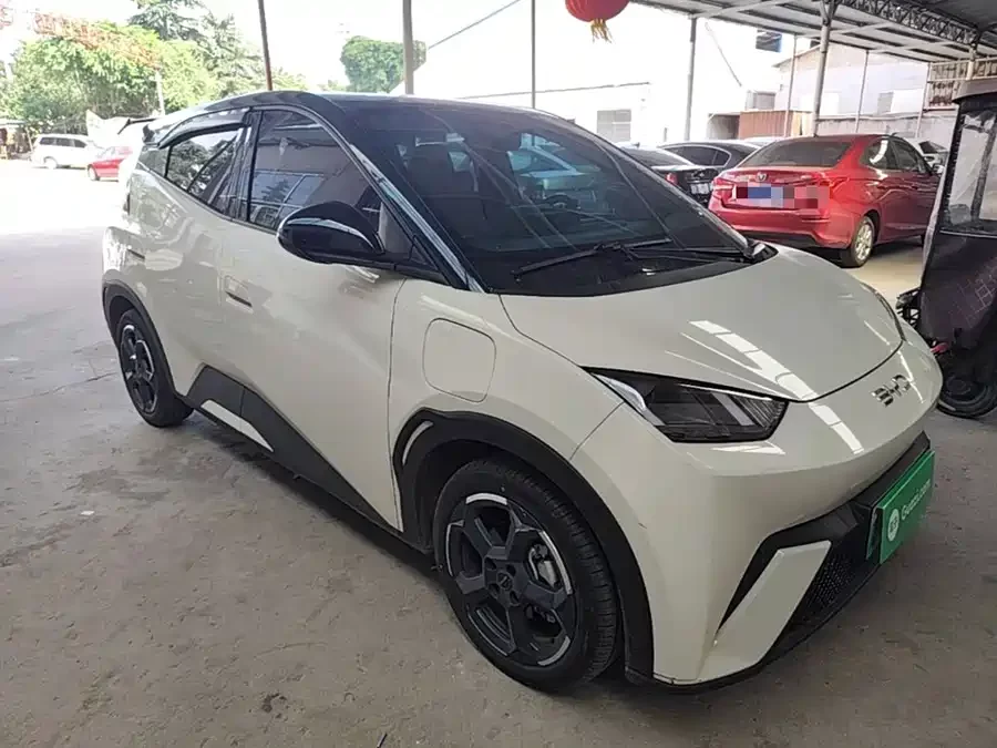 BYD Seagull