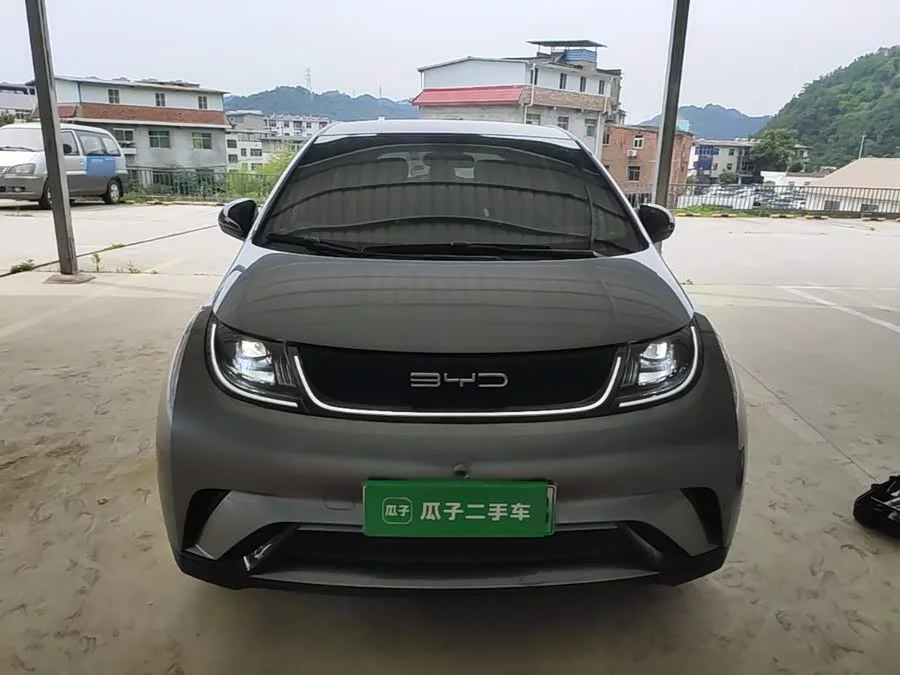 BYD Dolphin