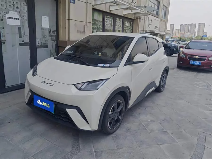BYD Seagull