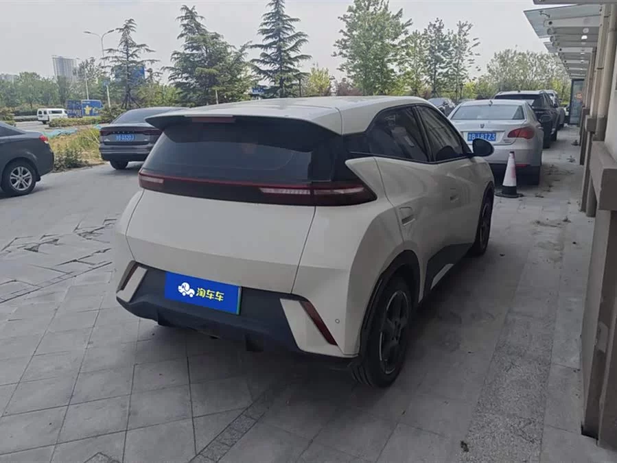 BYD Seagull