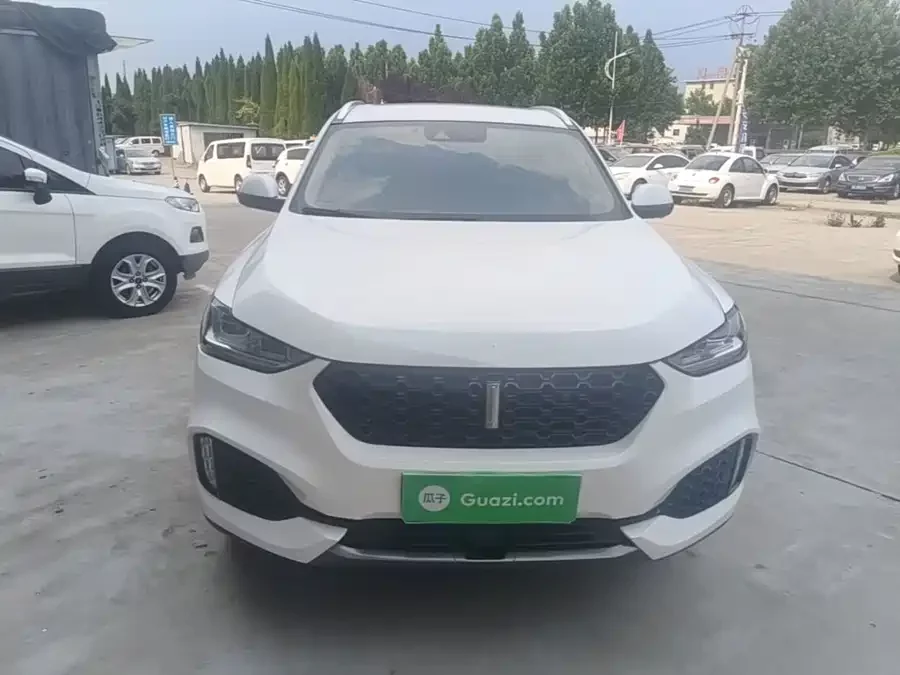 Wey VV6