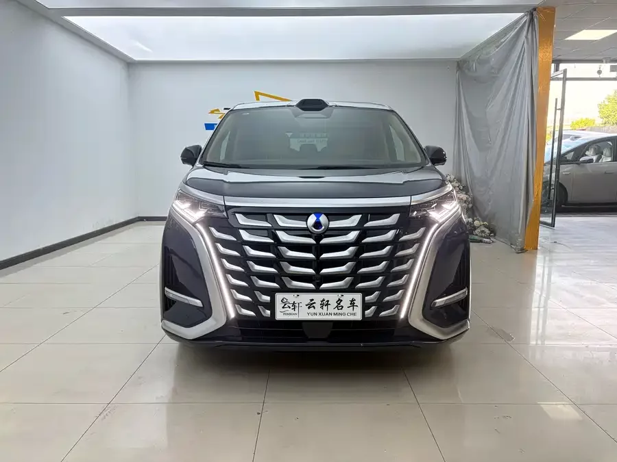 BYD D9