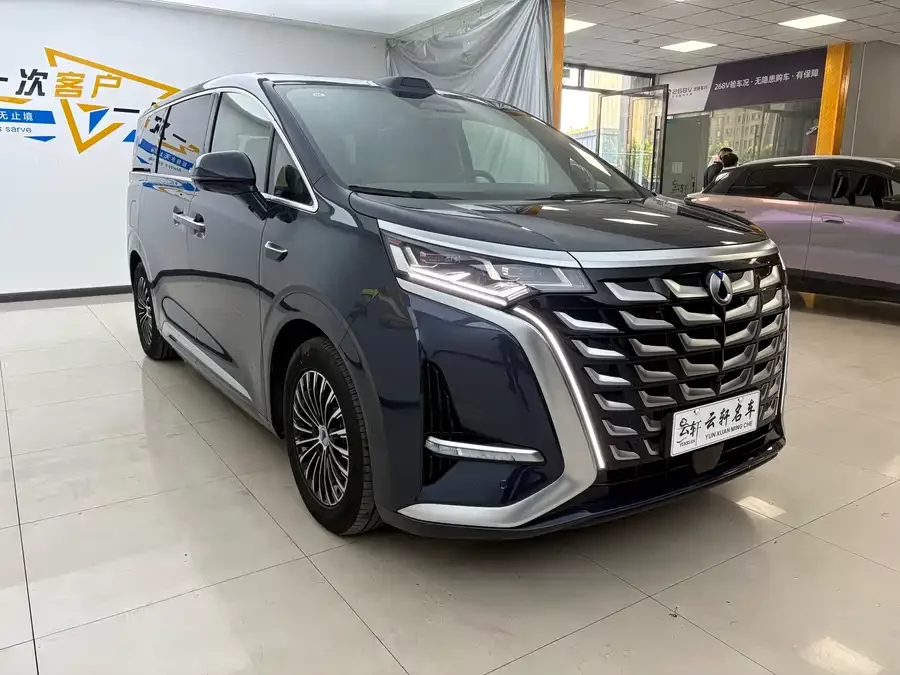 BYD D9