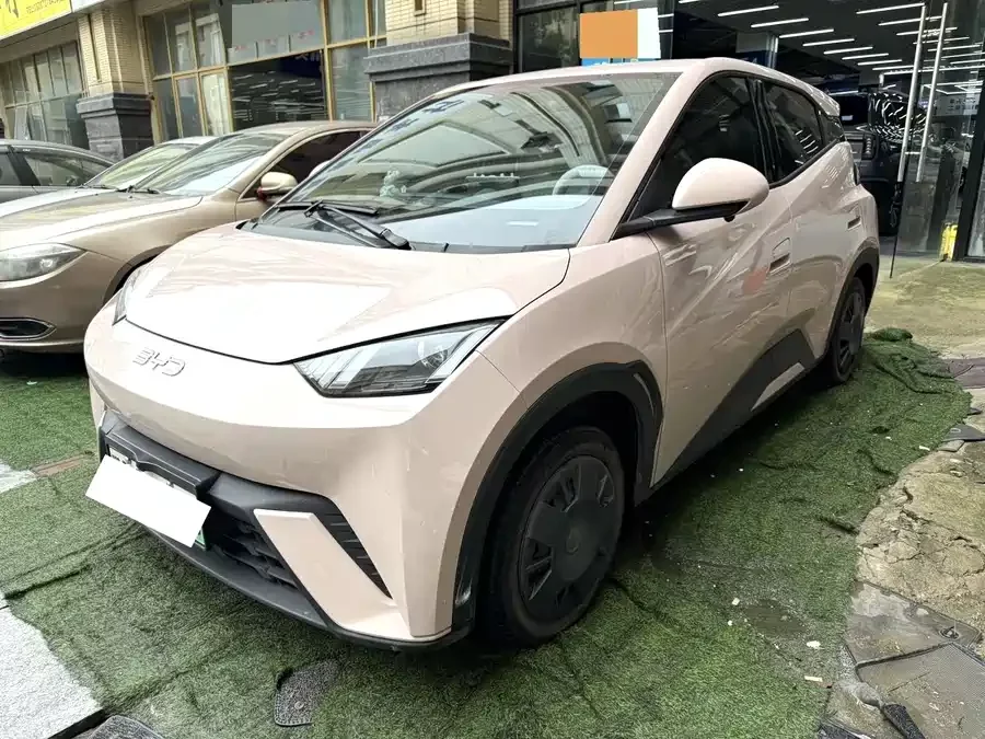 BYD Seagull