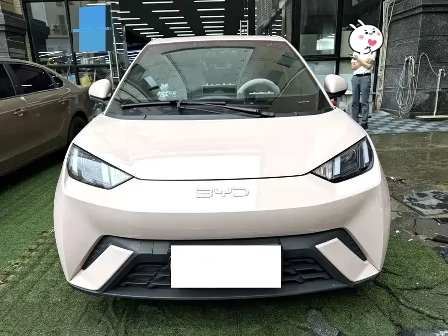 BYD Seagull