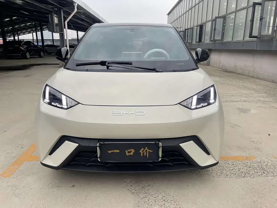 BYD Seagull
