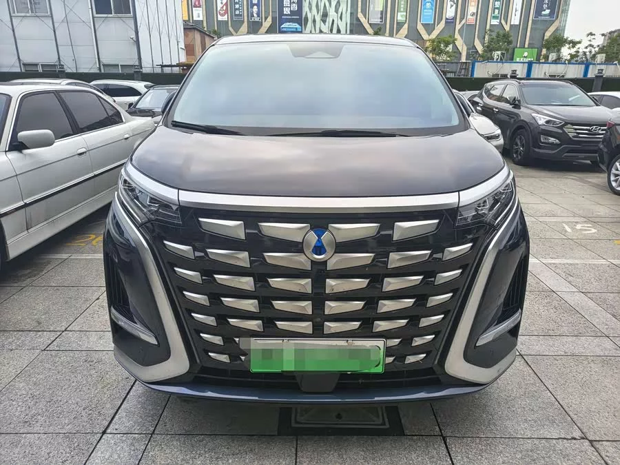 BYD D9
