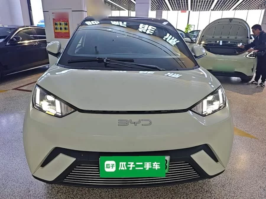 BYD Seagull
