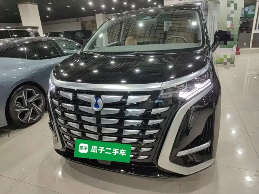 BYD D9