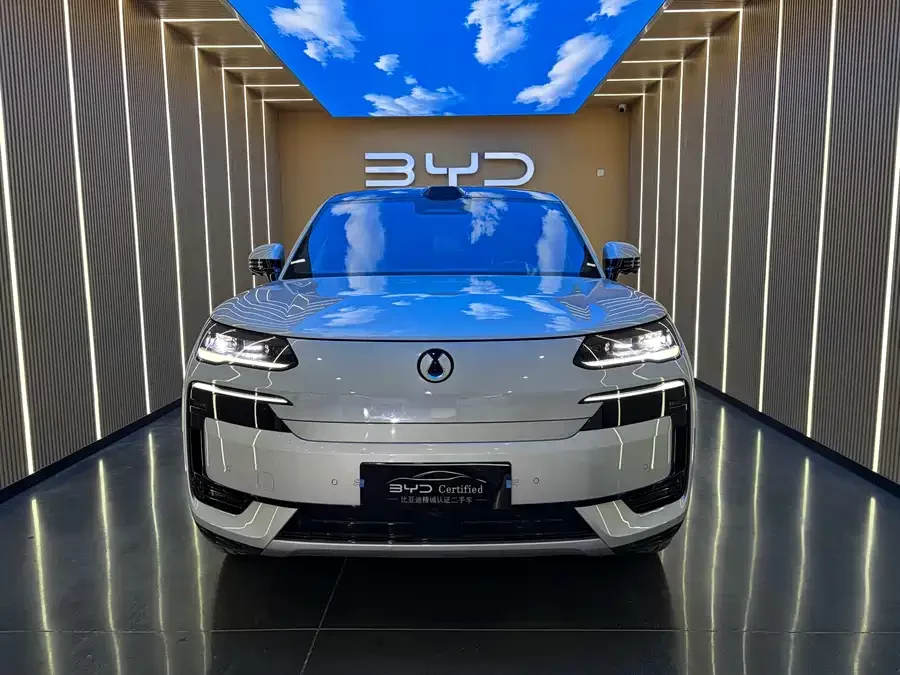 BYD N9