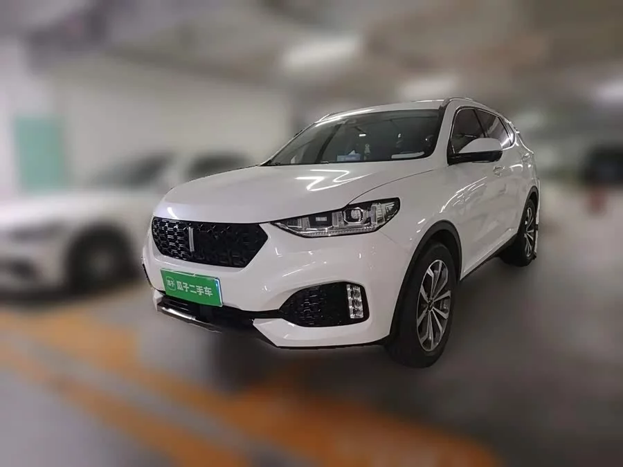 Wey VV6