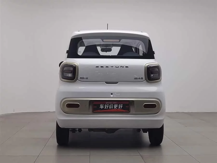Pentium pony