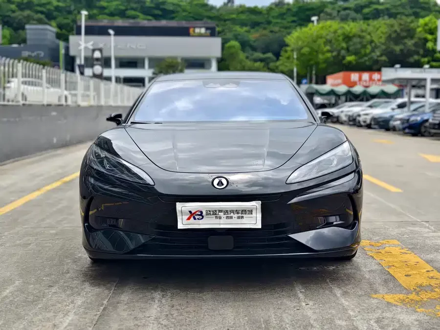 BYD Z9GT