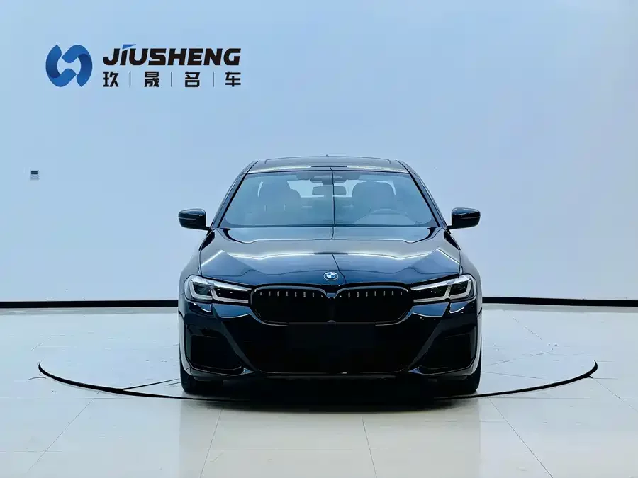BMW 5 Series New Energy
