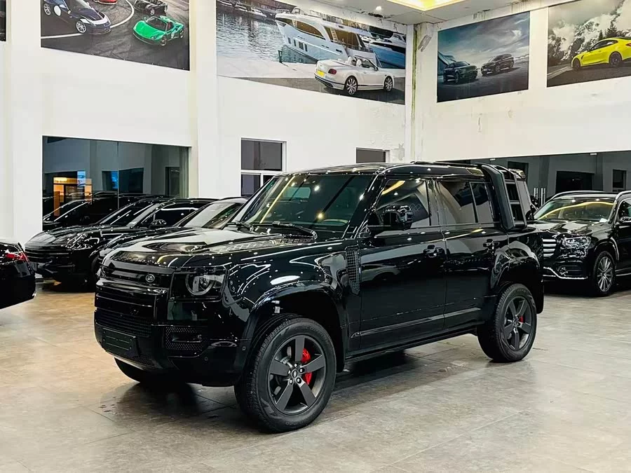 Land Rover guard
