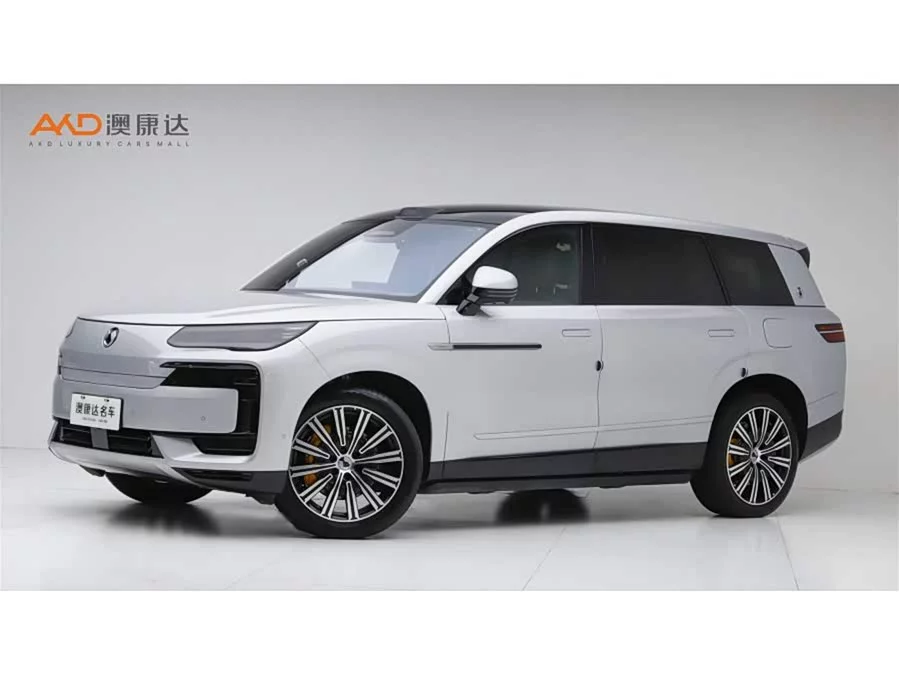 BYD N9