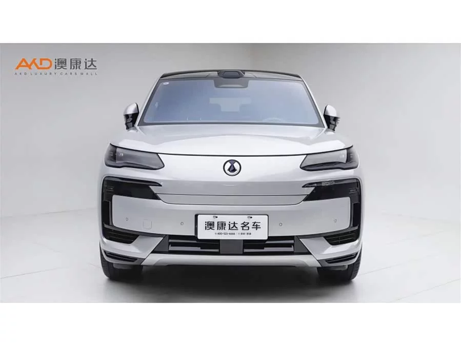 BYD N9