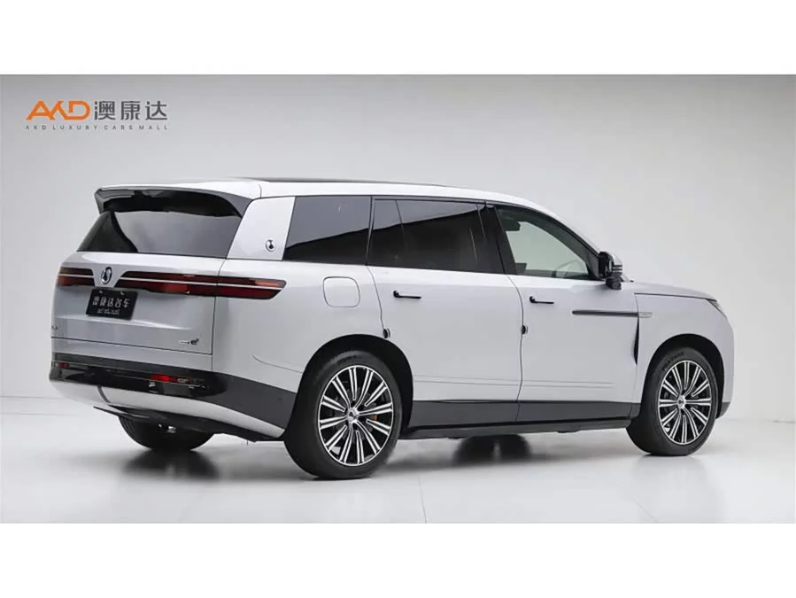 BYD N9