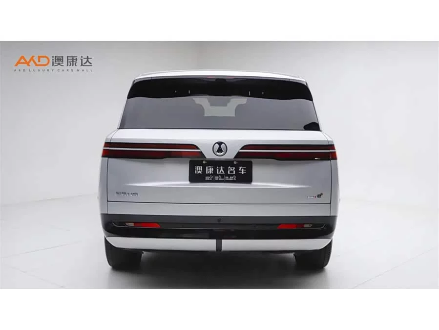 BYD N9