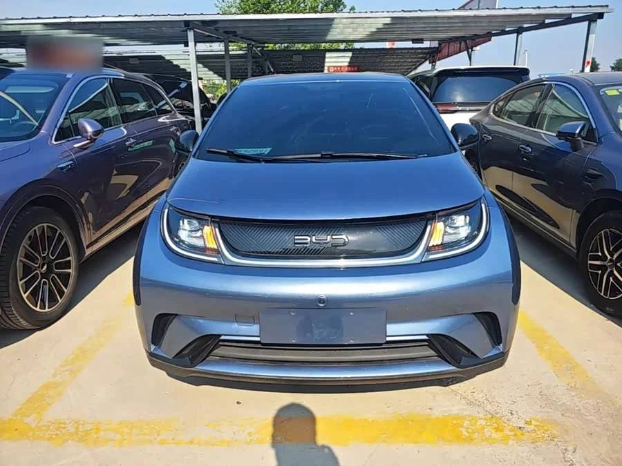 BYD Dolphin