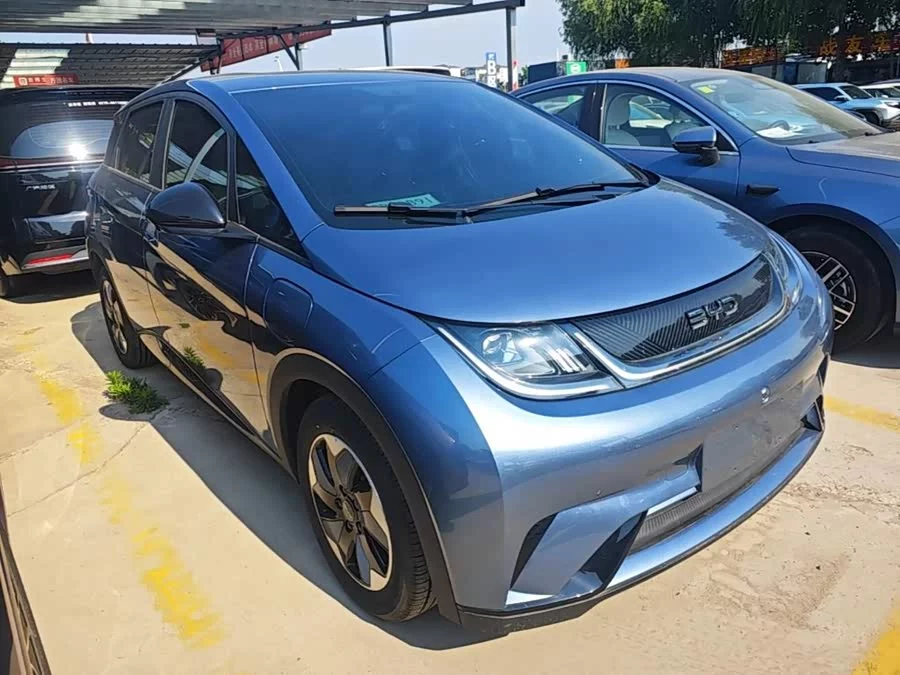BYD Dolphin