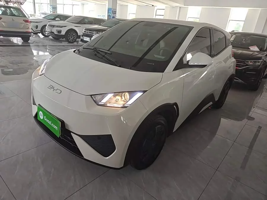 BYD Seagull