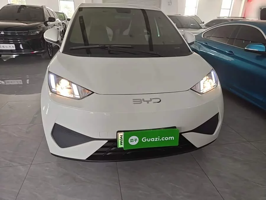 BYD Seagull
