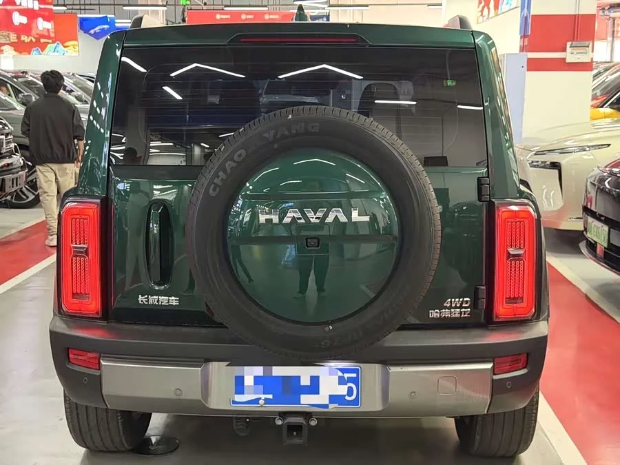 Haval Raptors Fuel