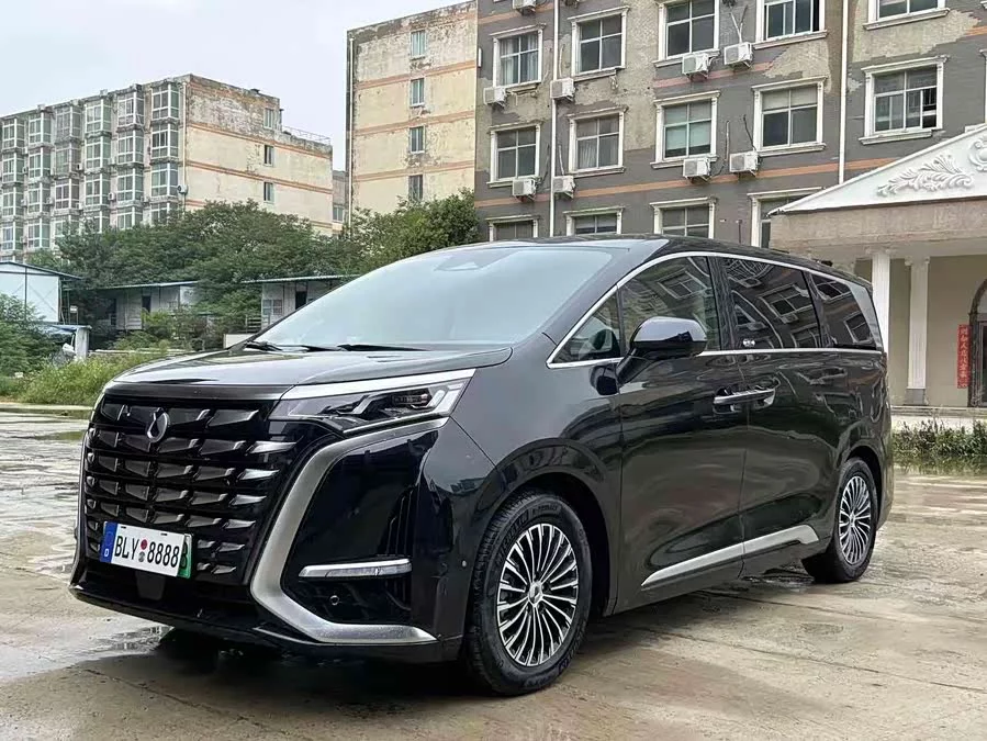 BYD D9