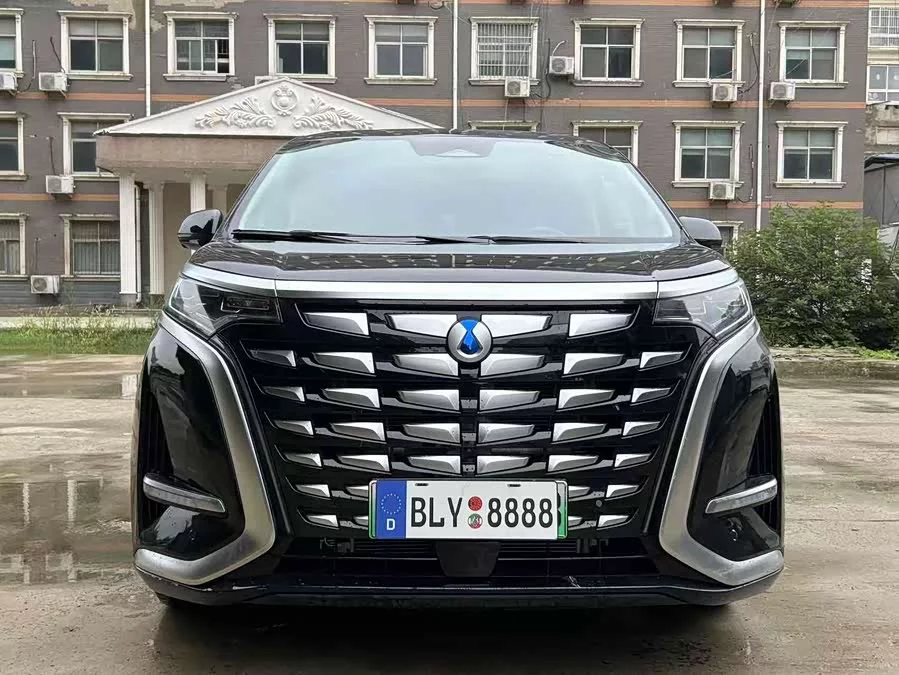 BYD D9