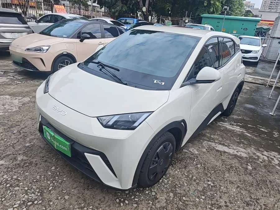 BYD Seagull