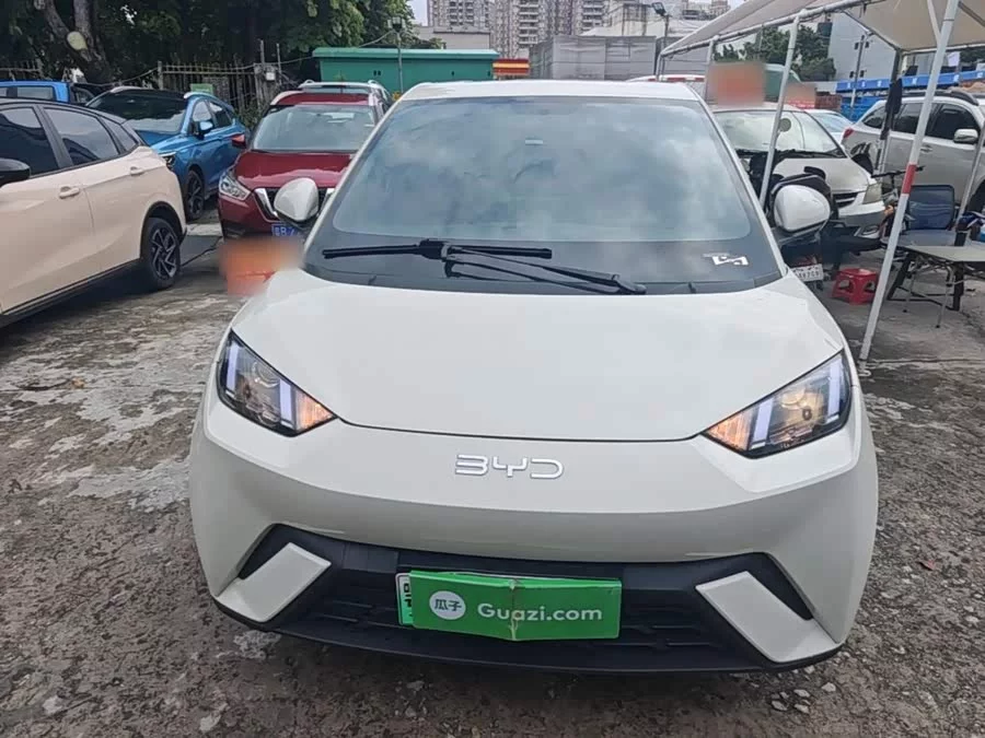 BYD Seagull