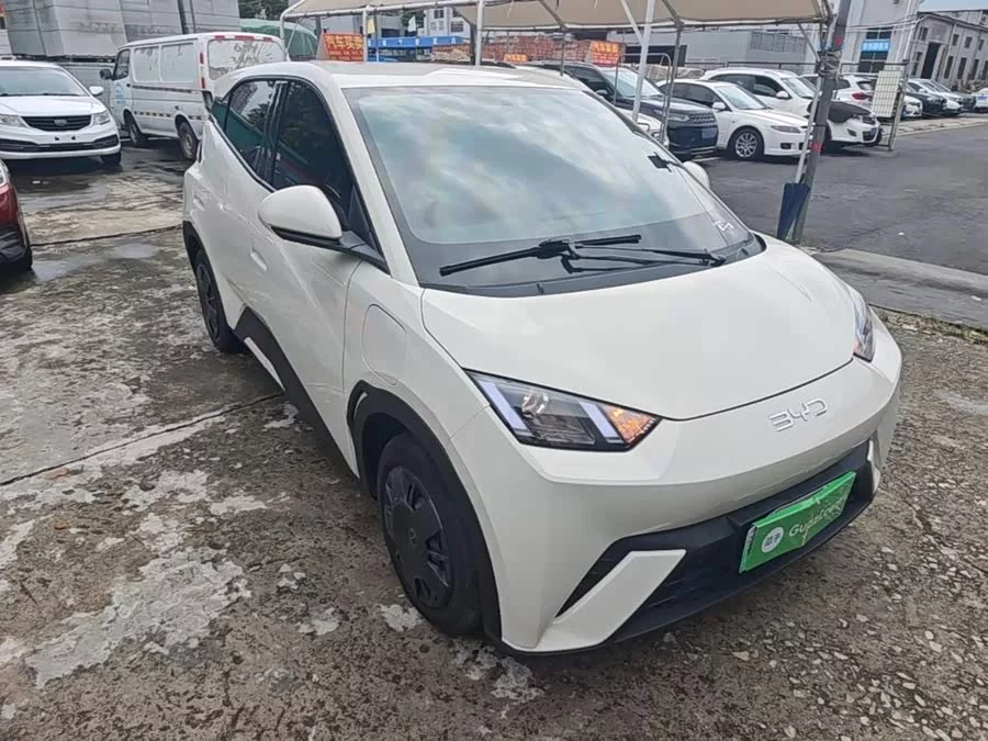 BYD Seagull