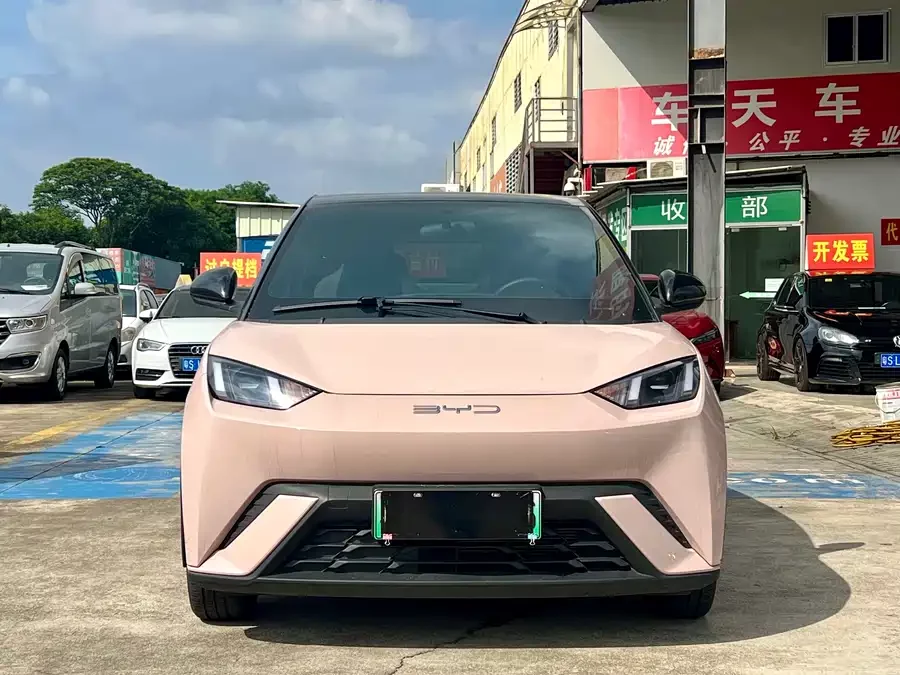BYD Seagull