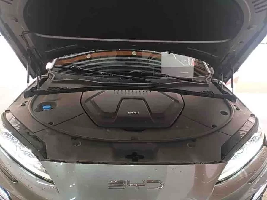 BYD Song PLUS New Energy