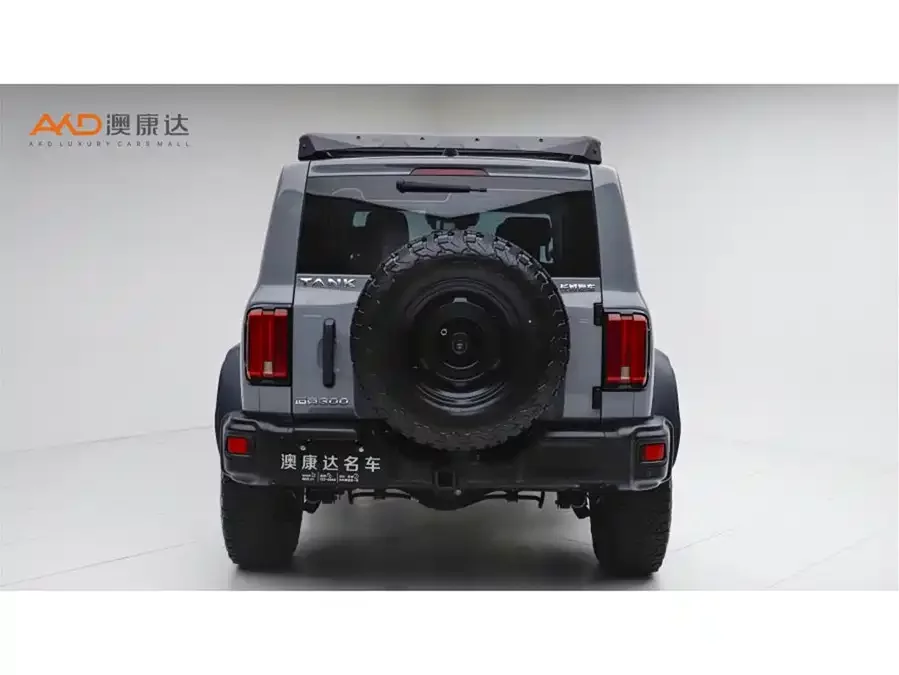 TANK 300