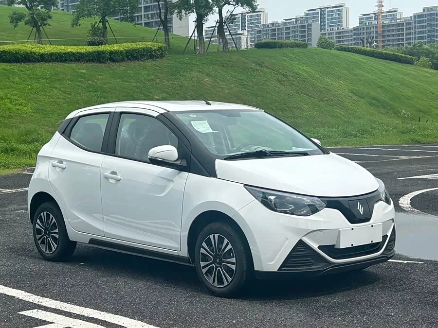 Jiangling Easy EV2