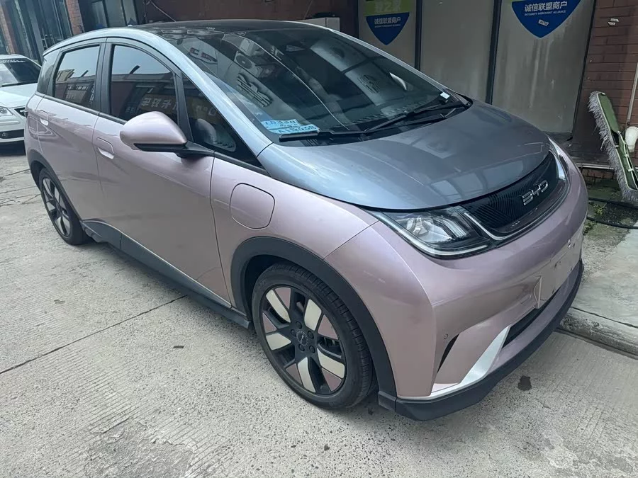 BYD Dolphin