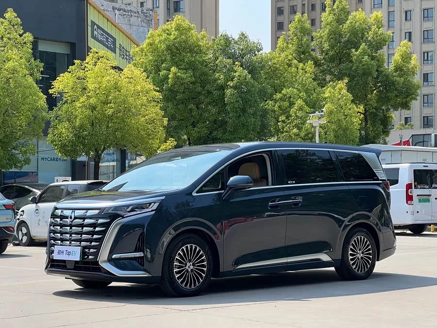 BYD D9
